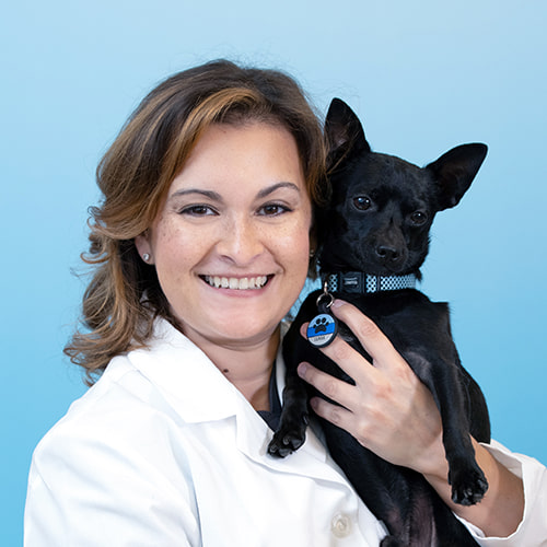 500x500_Durand_Color