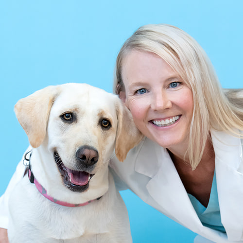 500x500_Farver_Color