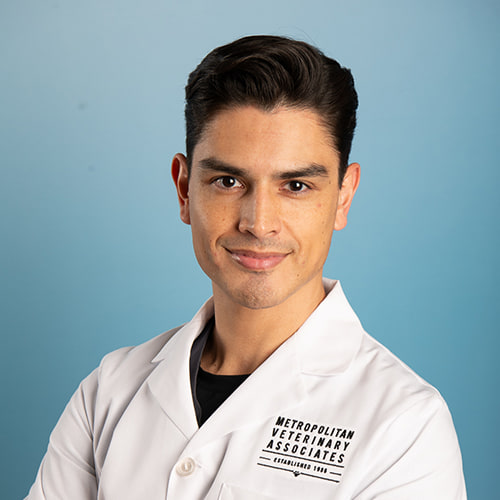 500x500_Huerta_Color