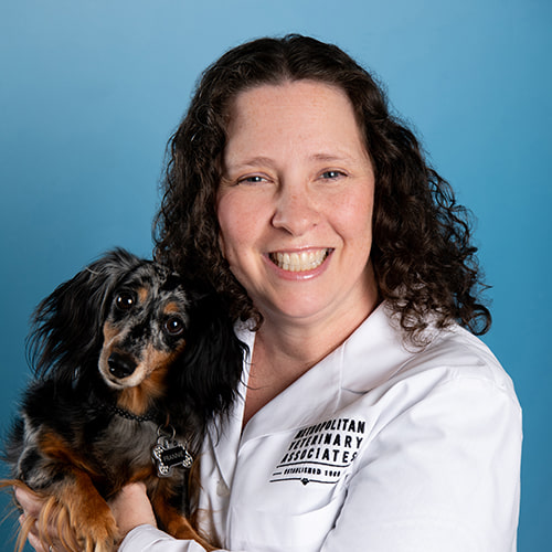 500x500_Hutton_Color