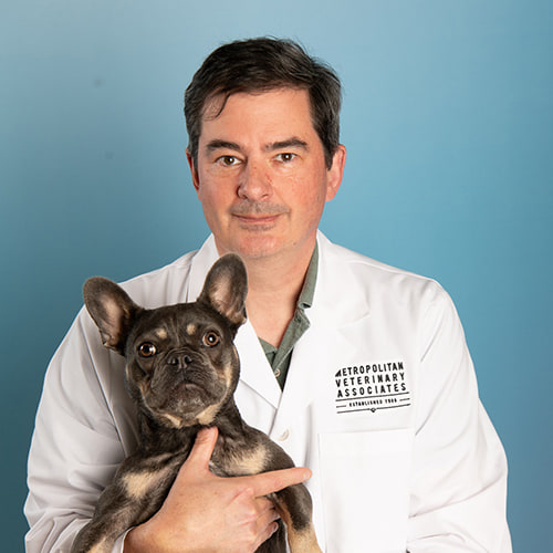 500x500_McLear_Color