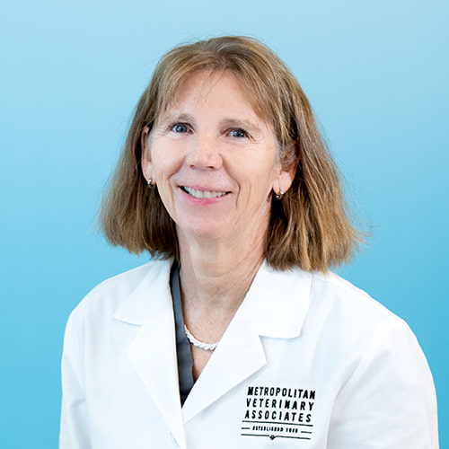 500x500_Popovitch_Color