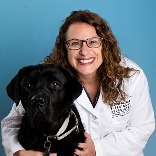 500x500_Roland_Color