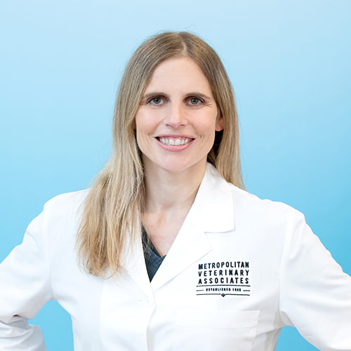 500x500_Sawyere_Color