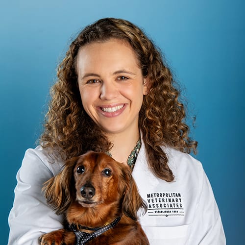 500x500__0009_Vansteenkiste_Color