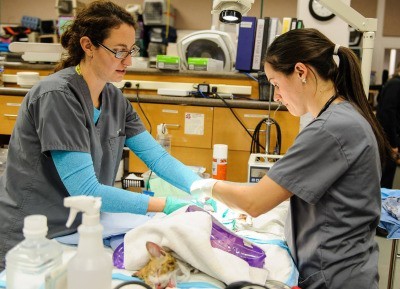 10557093_10152426630748176_5288952081386510441_o