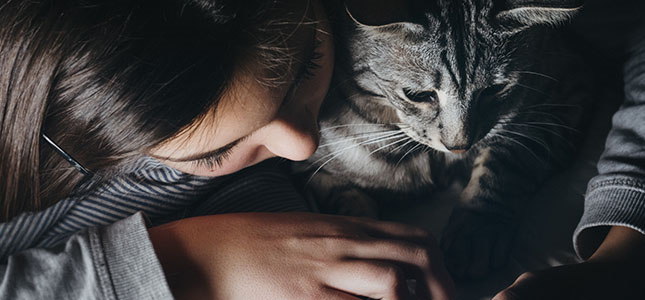 645x300_spending_time_with_pets Social distancing pets