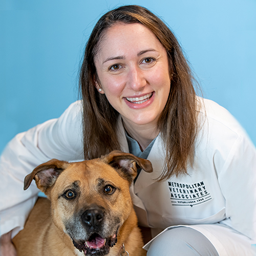 500x500_Hauser_Color (Photoshop)