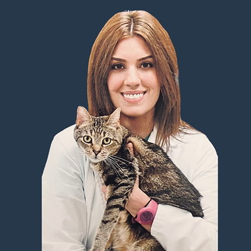 500x500__0013_LaurenCelano